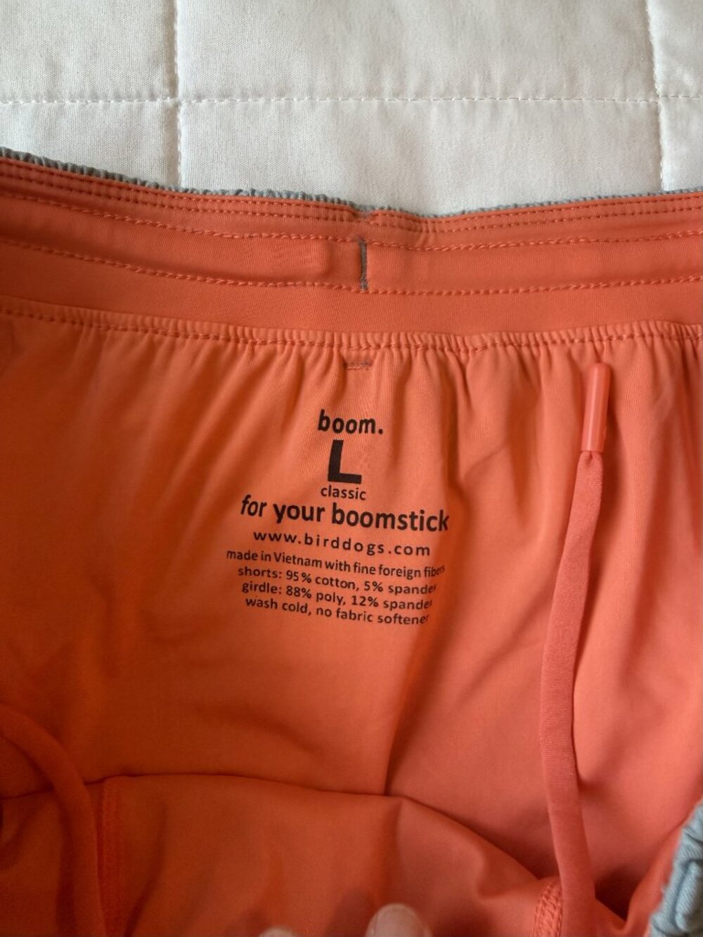Birddogs Athletic Shorts Teal Sage Built-In Liner Large Men's - Picture 3 of 10